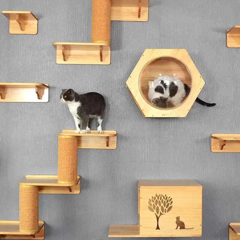 Cadre D Escalade Pour Chat Mural Arbre A Chat Bois Massif Hexagone Capsule Spatiale Tremplin Mural Pour Chat Chaton Maison Echelle Meubles Pour Animaux De Compagnie Aliexpress Cadre D Escalade Pour Chat Mural Arbre A Chat Bois Massif Hexagone Capsule Spatiale Tremplin Mural Pour Chat Chaton Maison Echelle Meubles Pour Animaux De Compagnie Aliexpress