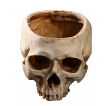 

Synthetic Resin Skull-shaped Flowerpot Plant Container Decorate Ornaments Multi-function Hollow Creative Props