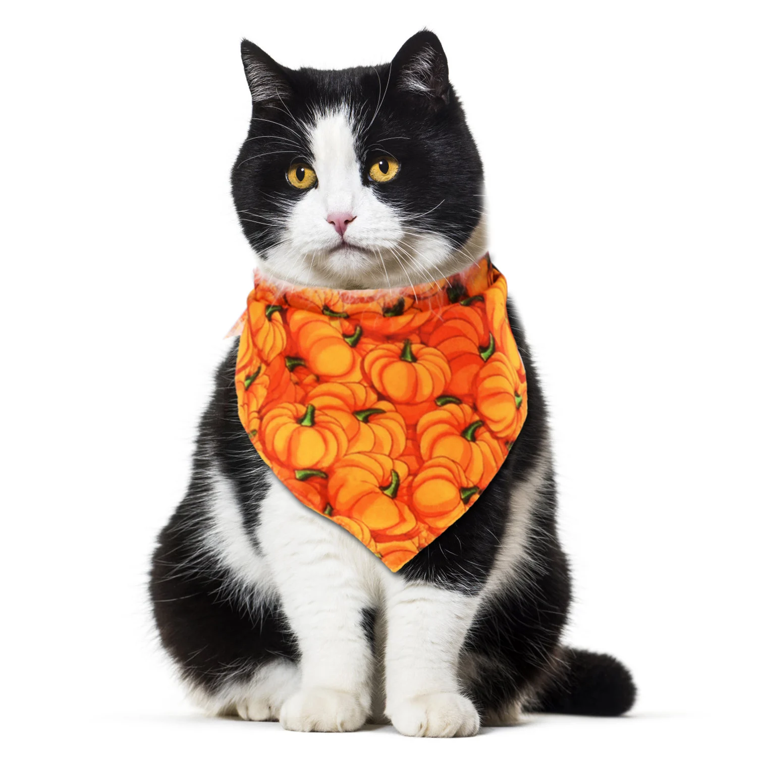 Бандана для животных креативная мультяшная печать Pet Bib треугольная бандана для кота собаки домашнего животного Одежда Аксессуары для украшение на празднование Хэллоуина
