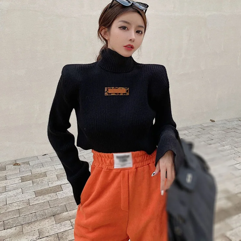 Autumn Winter Casual Turtelneck Sweaters Women Knitted Cozy Female Long Sleeve Sweater Soft Pull Femme Hiver Jersey Mujer 2