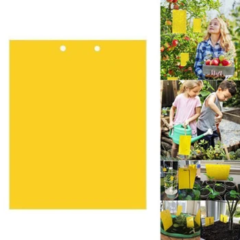 

Spot 20/40Pcs Sticky Fly Trap Paper Yellow Traps Double Sides Fruit Flies Catcher Sticker Hogard