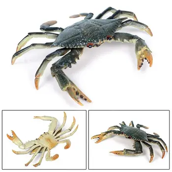 

Incredible Shuttle Crab Realistic Marine Organism Model Bathroom Toy for Kids K92D