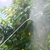 Garden Supplies