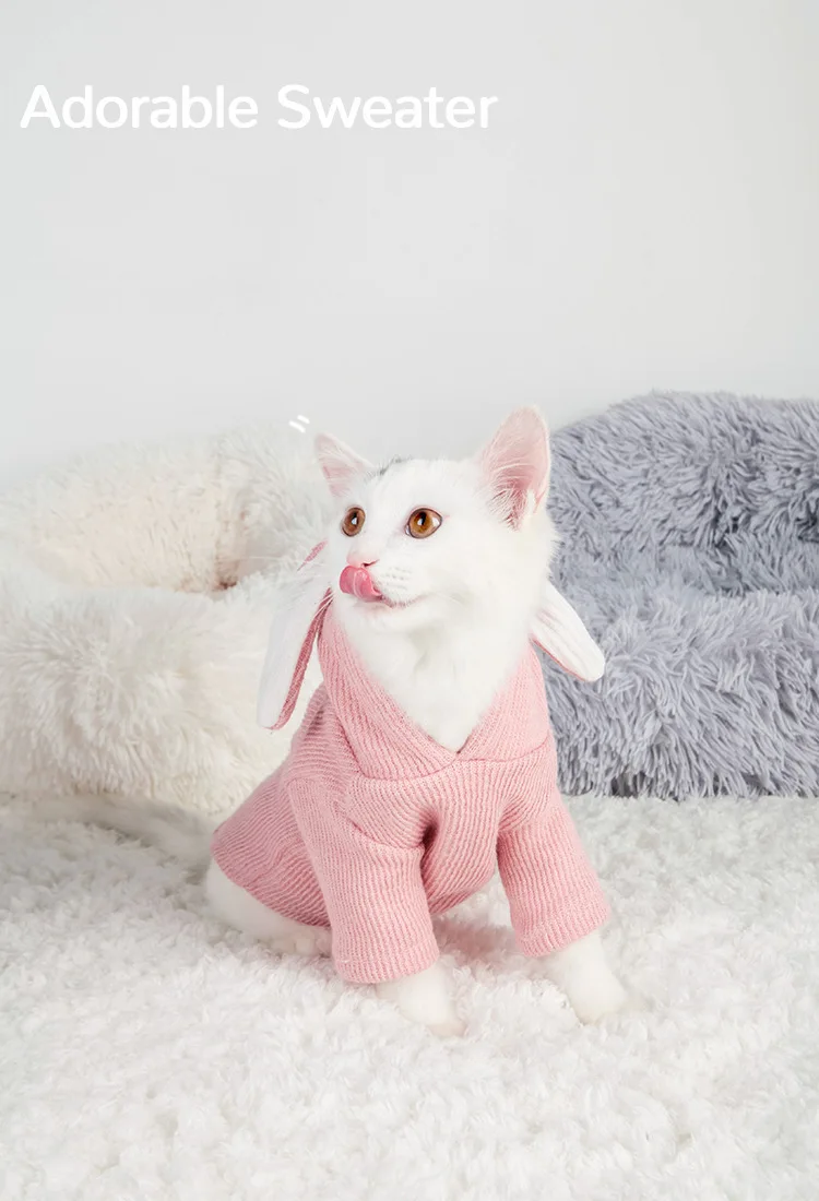 10974457789_1411948462