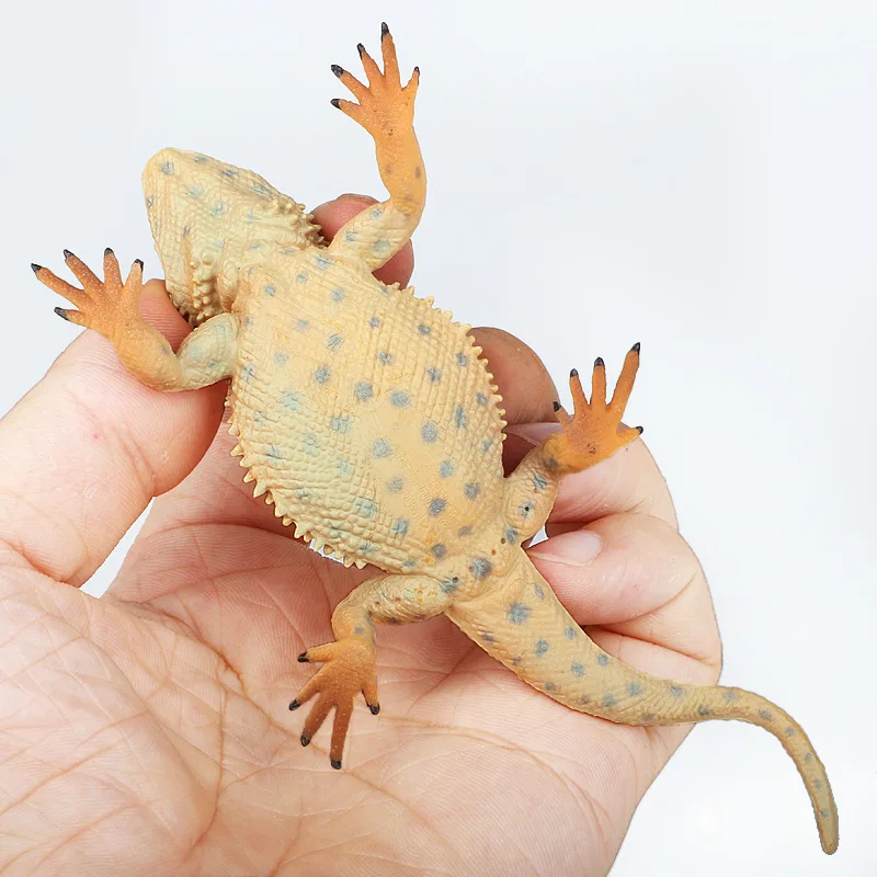 Lizard Chameleon Crawling Animal Model Wild Animal Model Solid Static CHILDREN'S Toy Decoration