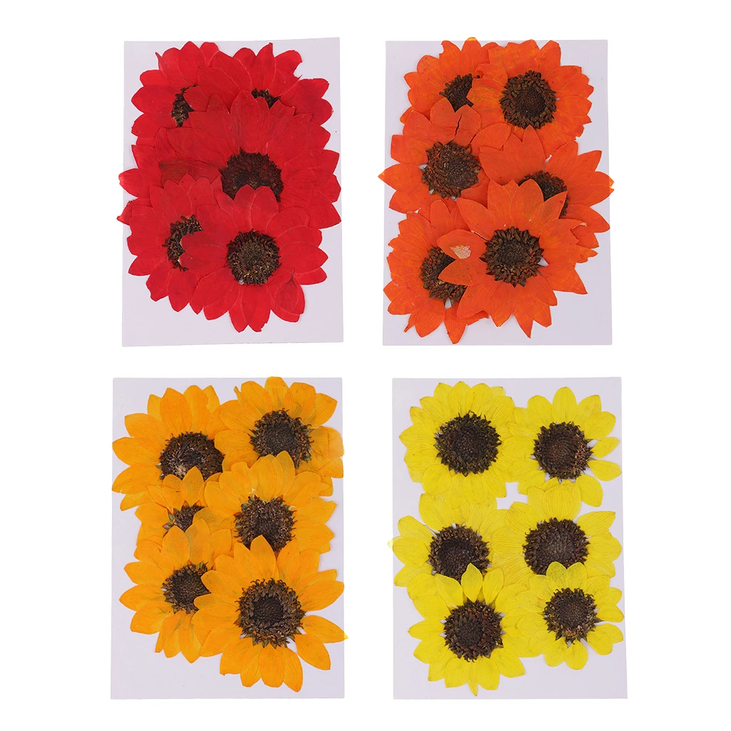 6 шт. прессованные Натуральные сушеные цветы Подсолнух для поделок из смолы орнамент ремесло Рождество открытка изготовление украшения