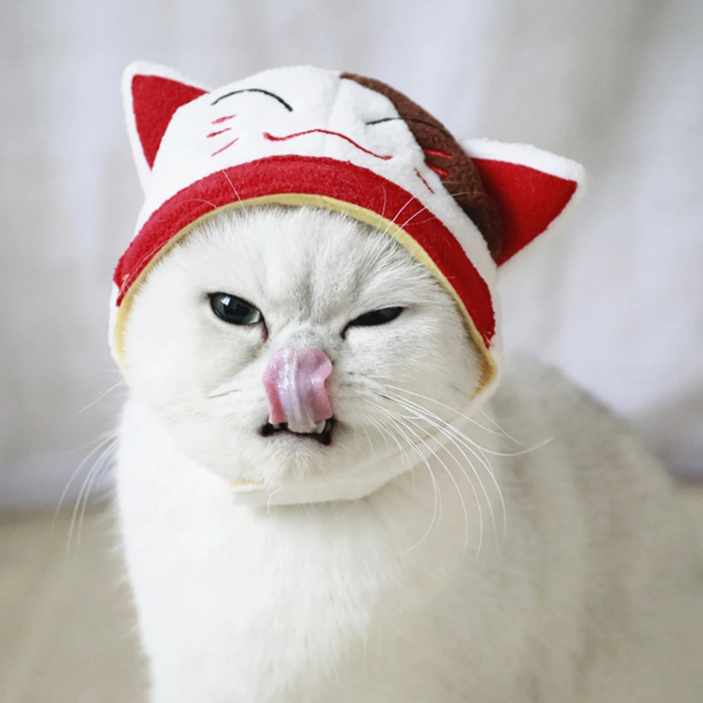 Вечерние, косплей, собака, кошка, шляпа для животных, наряды, головные уборы, милый, забавный, теплый, мультяшный, в форме животного, для дома, Рождество, головной убор, мода