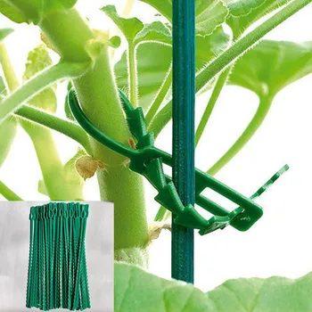 

20pcs Adjustable Plastic Garden Plant Cable TiesTree Climbing Support Plant Pot Flower Plant Tie Tomato Stem Clip Garden Tools