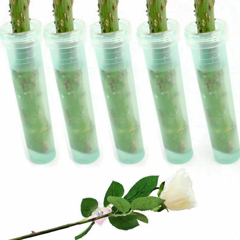 100Pcs Water Floral With Cap Shop Supplies Durable Garden Tool Hydroponic Flower Nutrition Tube Plastic Keep Fresh Container