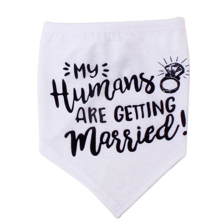 5 - 10602347422_1330256901