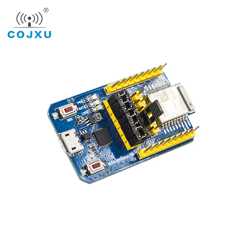 nRF52810 USB Test Board Test Kit for BLE 5.0 2.4GHz Bluetooth Module E104-BT5010A-TB