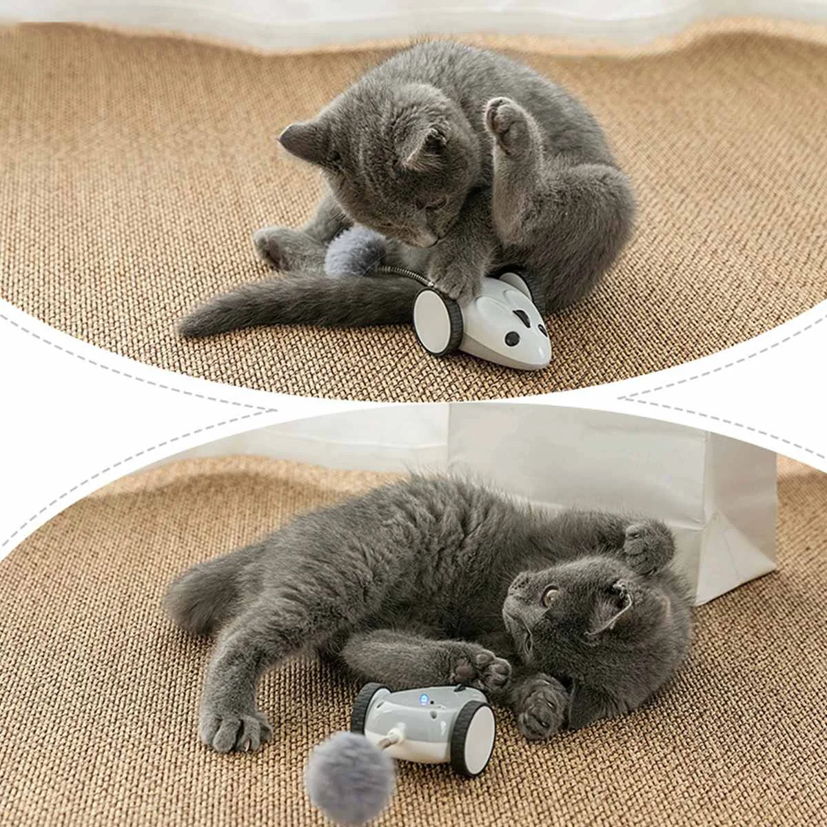 Pet Cat Toy Interactive bluetooth Wireless Remote APP Control Electric Mouse Simulation Toy RC Rat Mice Toy USB Charging Pet Cat Toy Interactive bluetooth Wireless Remote APP Control Electric Mouse Simulation Toy RC Rat Mice Toy USB Charging