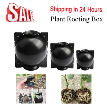 

5pcs Plant Rooting Equipment High-pressure Box Transplantation Plant Rooting Ball Grafting Rooting Growing Box Breeding Case