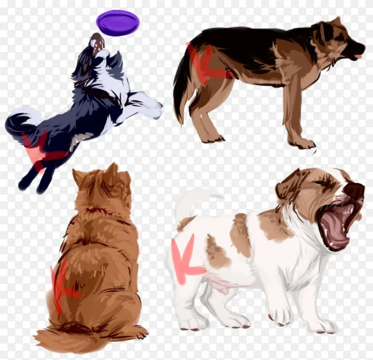 犬种犬伴犬服 水彩画小狗png图片素材免费下载 图片编号 Png素材网