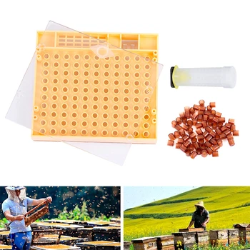 

Beekeeping Tools Equipment Set Queen Rearing System Cultivating Box 110pcs Plastic Bee Cell Cups Cup kit Queen Cage