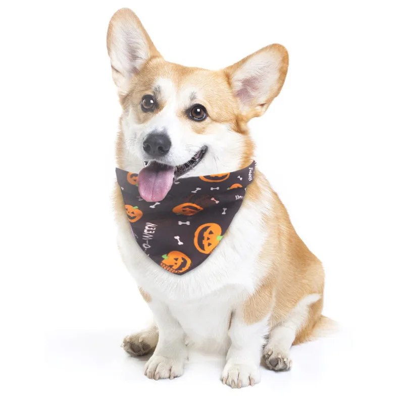 CJJ90916891BK_0948087452212959026