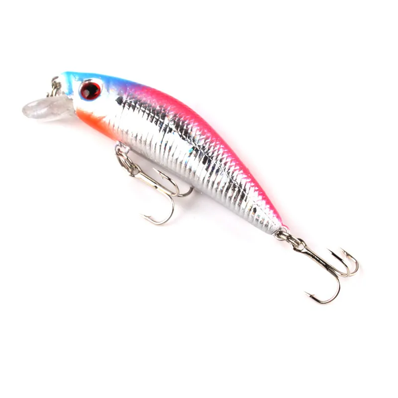 242039_no-logo_IMG_5599