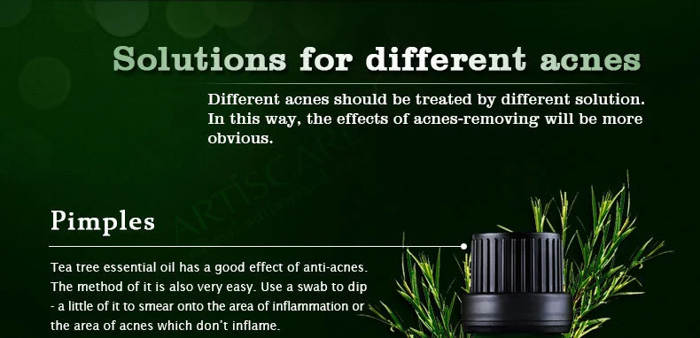 tea_tree_12
