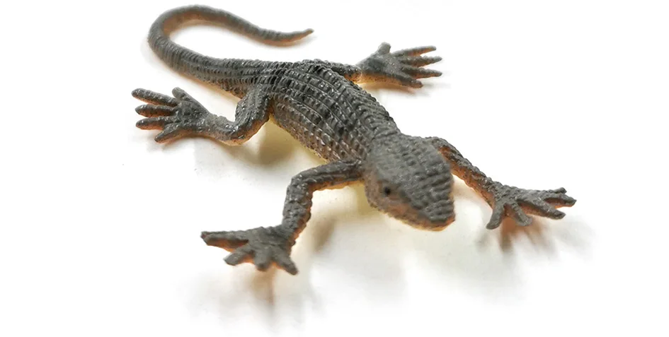 详情页-12款-彩色蜥蜴等_08