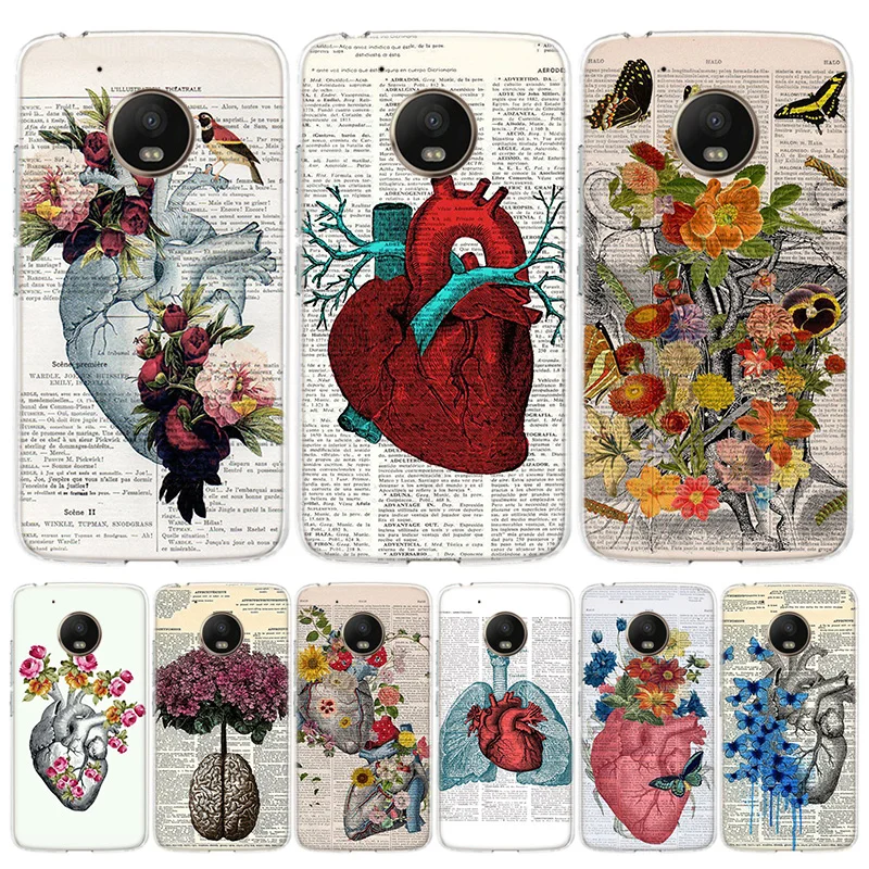 Анатомия человека органа в изобразительном искусстве газета Красочная обложка