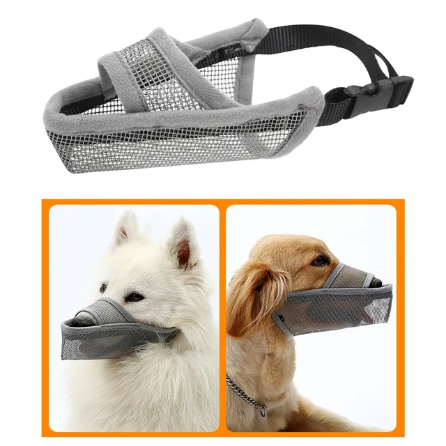 Anti Poop Eating Muzzle