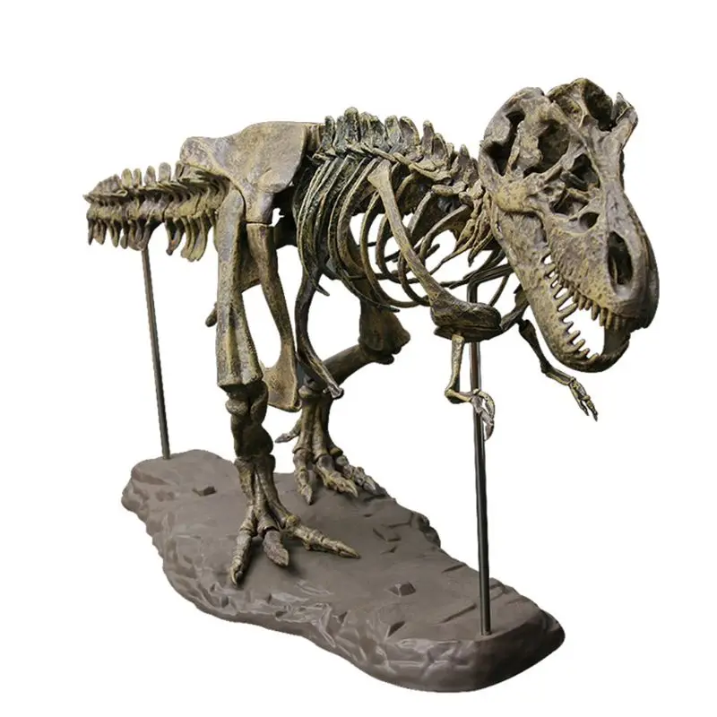 dinosaur toy skeleton