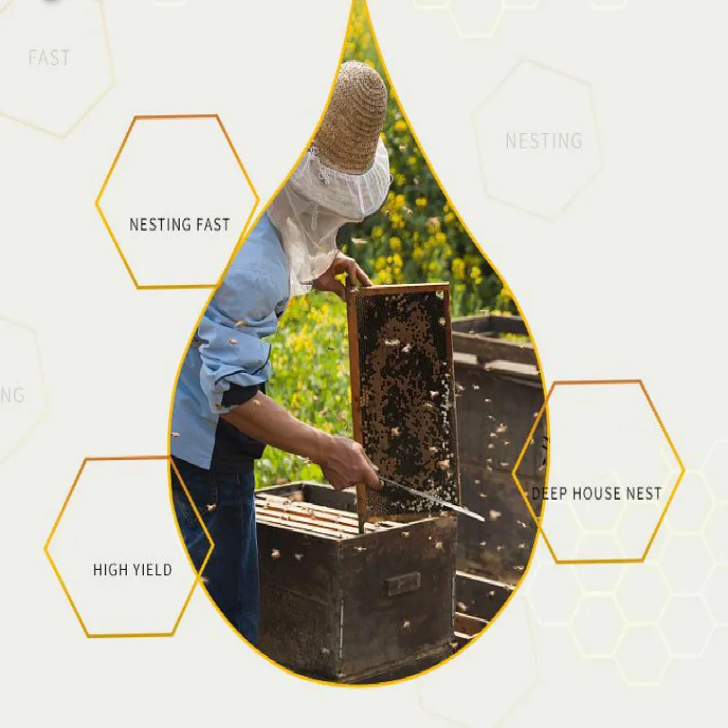 H88c04b77cce04effbcea2d9e92cc1290b