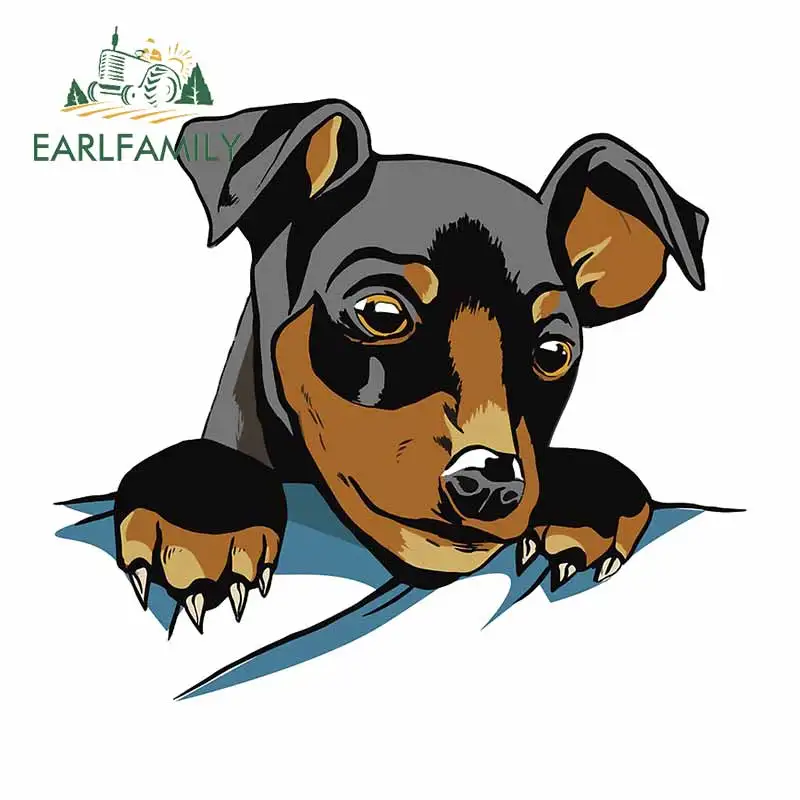 EARLFAMILY 13 см x 11 6 для карманной Собаки Автомобиля Ремонт Наклейка ноутбук тонкая