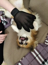 Combs Hair-Gloves Cats-Brush-Comb Cleaning-Supplies Dogs Silicone PROSTORMER Bath Deshedding