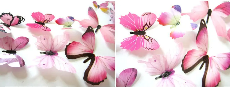 10455172396_1365487830