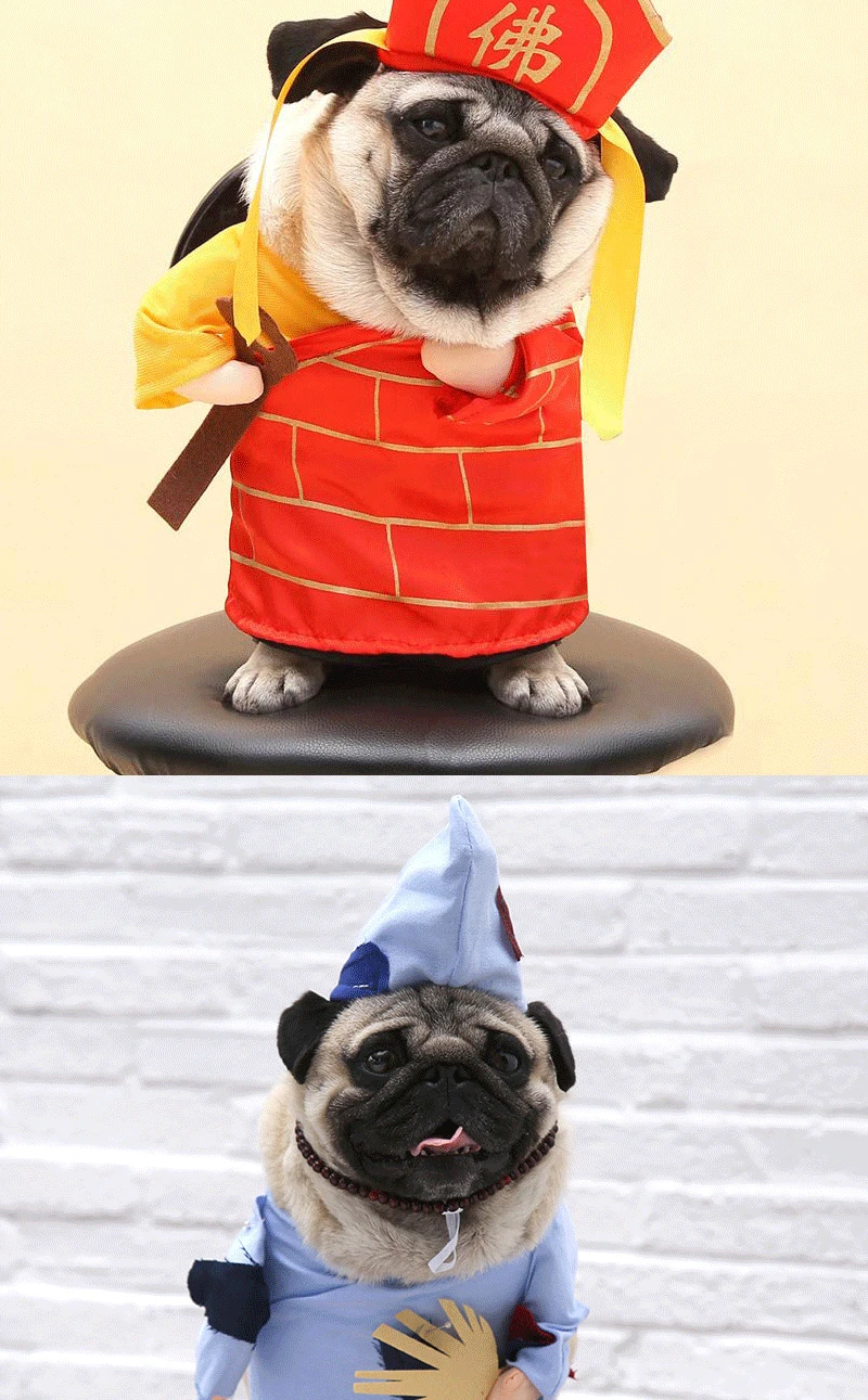 9188299736_291311941