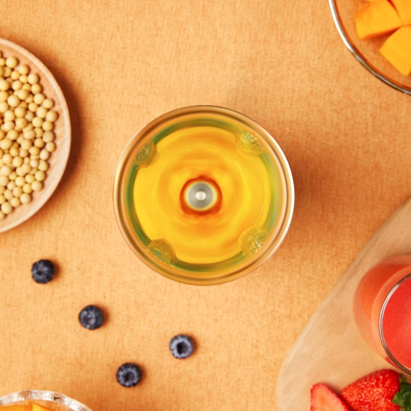 Electric Mini Blender Juicer Food Professor Heating Blender Soybean Milk Maker Soymilk Pumpkin Porridge Cooker Free Shipping