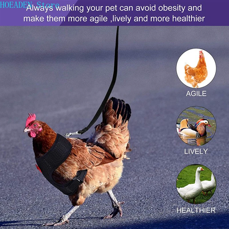 XS/S/M/L/XL Size Fashion Chicken Vest Hen Belt Pet Harness Matching Collars Bow Comfortable
