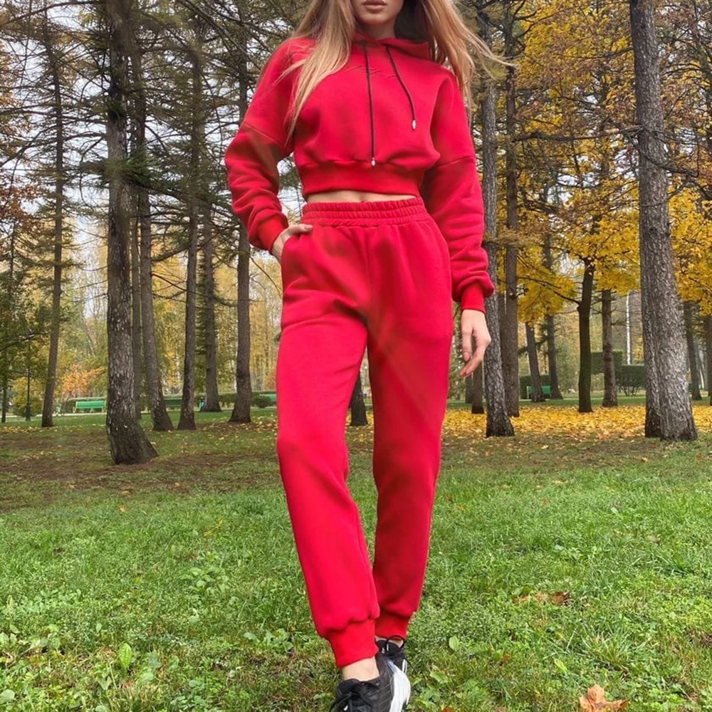 

Women Autumn Winter Tracksuit Fleece 2 Pieces Sets Solid Color Long Sleeve Hoodies Sweatshirt And Pants Suits Plus Size Outfits