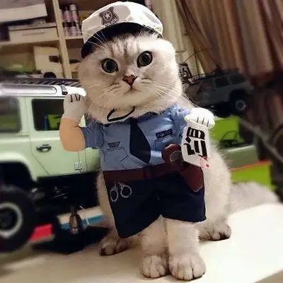 颜色09交警变身装