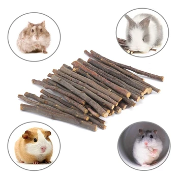 

10Pcs/Set Hamster Chew Toys Natural Wooden Playing Exercise Teeth Care Chewing M76D