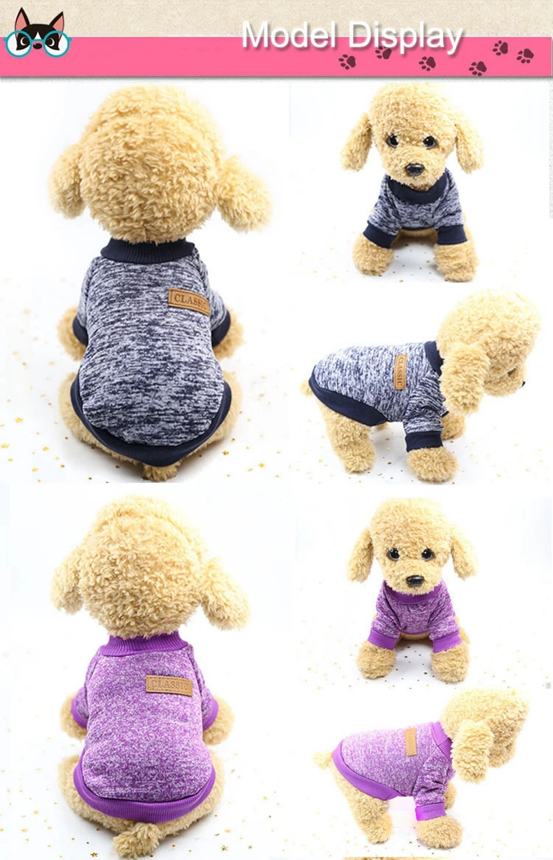 dog clothes (5)