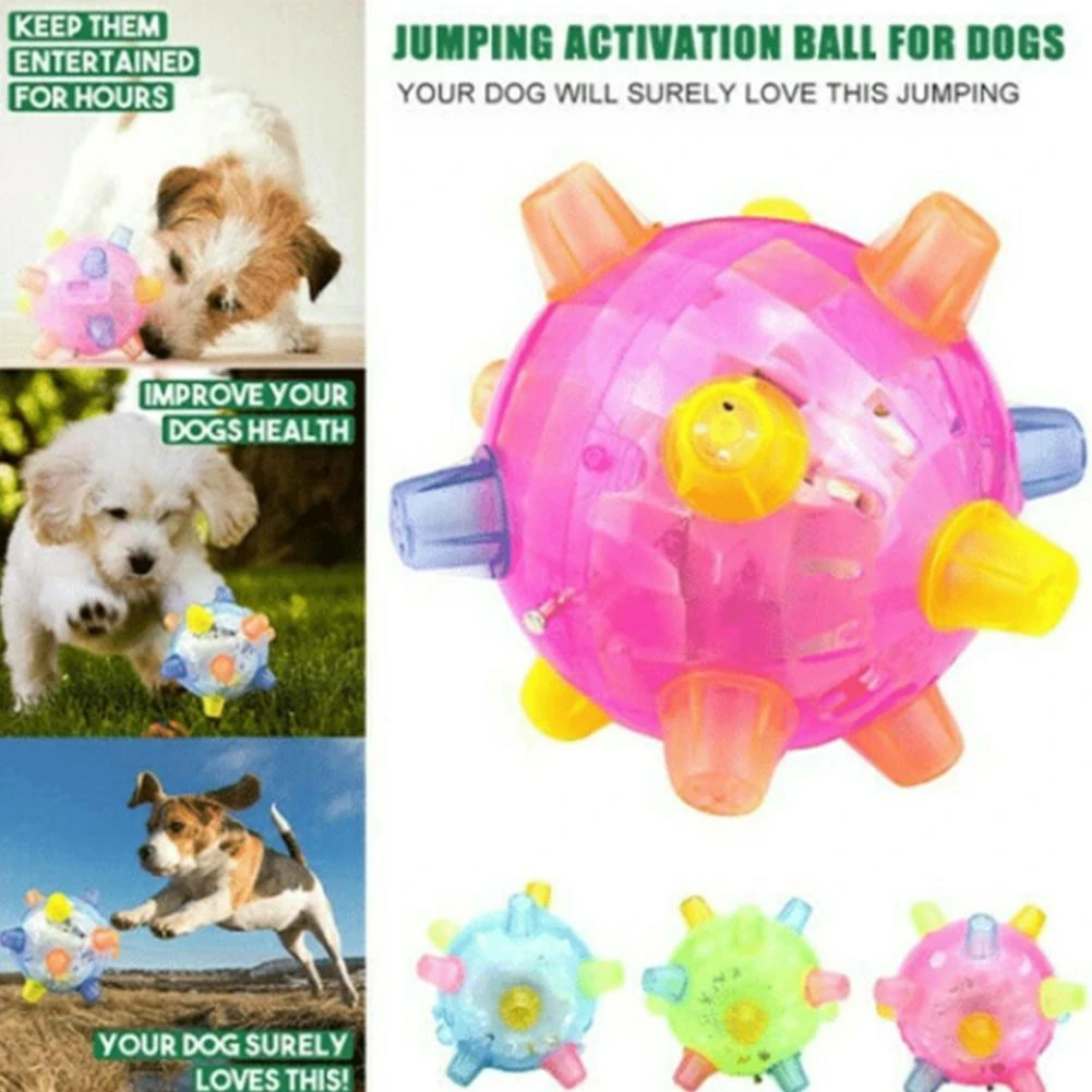 dog ball that lights up and makes noise