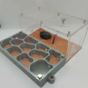 Large Size Ant Farm 3D Printing Flat Ant Nest Acrylic Activity Area Ant Workshop Castle Ant Nest With Shading Board 18x18x6.5cm