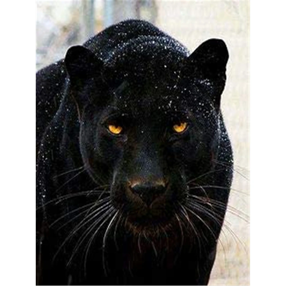 

Animal Black Panther DIY 5D Full Diamond Mosaic Diamond Embroidery Diamond Painting Set Christmas Gift Home Decor Hobbies