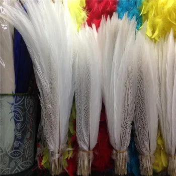 

10-80CM 4-32 Inch Silver Pheasant Feathers for Decoration Carnival Accessories Lady Amherst White Silver Feather Decor DIY Plume
