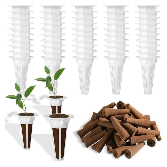 Éponges de croissance de racines, dosette de graines, démarreur,  remplacement, pour jardin hydroponique, 12 pièces - AliExpress