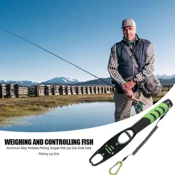 

Aluminum Alloy Green Fish Controller Soft and Comfortable Lightweight and Delicate Fish Lip Grip with Weight Fishing Tool