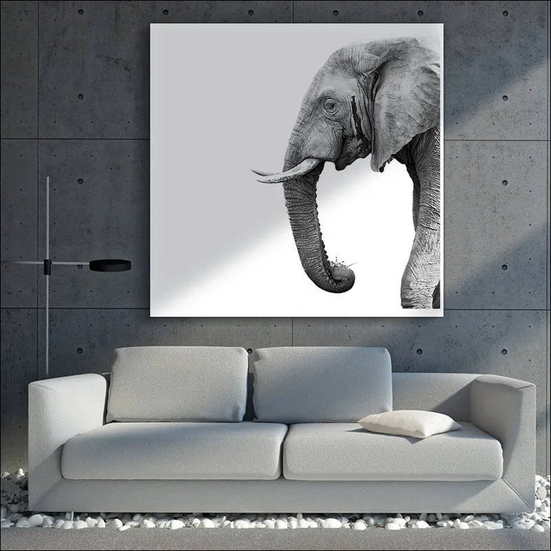 

animal posters canvas zebra posters Printing Corridor mural elephant posters DIY frame aesthetic wall frame picture frame