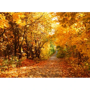 

Autumn Yellow Forest Trees Road Scenic Photography Backgrounds Customized Photographic Backdrops For Photo Studio