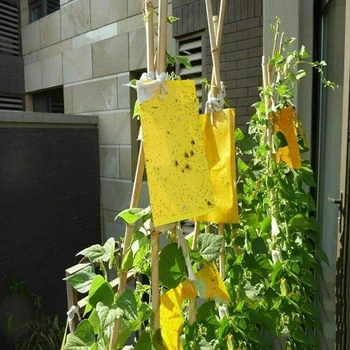 

10Pcs Yellow Glue Catcher Traps Fruit Flies Insect Sticky Fly Trap Paper Best