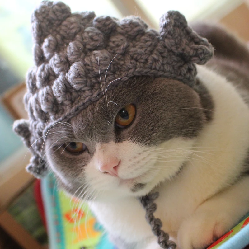 Шапка Будды, кошка, вязаная шапка, милый головной убор для домашних животных, товары для домашних животных, Забавный костюм фурри, модельная шапка для кошек, аксессуары