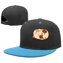 Бейсболки в стиле хип-хоп, регулируемая шапка I Cant About Today, мопс Лайф, мальчик-девочка, королевский синий, один размер