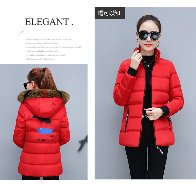 Winter Short Color Large Fur Collar Cotton-padded Clothes Women's Slimming Cotton Coat Winter New Style Small Cotton-Padded