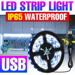 Bande lumineuse LED USB, ruban lumineux étanche, Flexible, 50cm 1m 2m 3m, décoration de fond de télévision, lampe 2835 